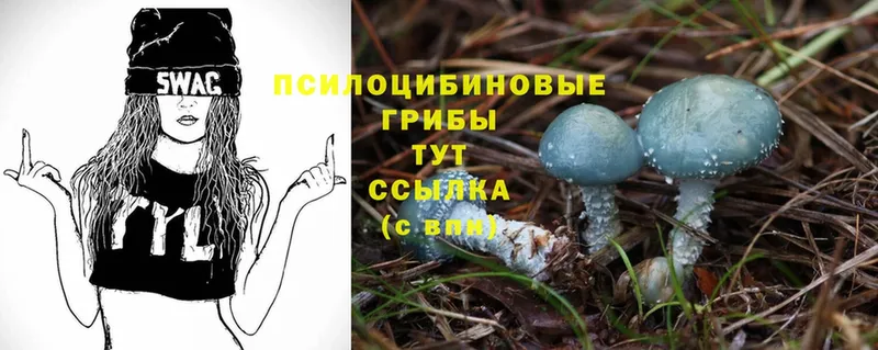 Галлюциногенные грибы Magic Shrooms  дарк нет Telegram  Губкинский 